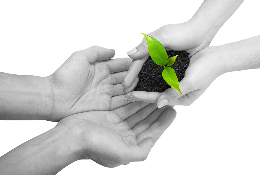 在线DDOS平台攻击